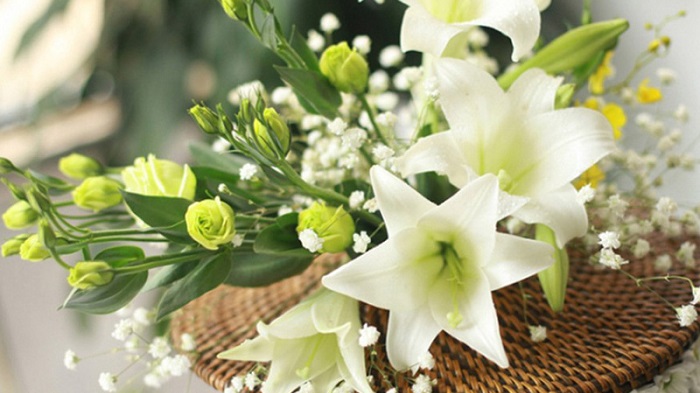 Những hình ảnh hoa loa kèn trắng đẹp tinh khôi chào hè Những hình ảnh hoa loa kèn trắng đẹp tinh khôi chào hè