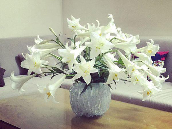 Cách cắm hoa loa kèn bằng lọ hoa thấp Cách cắm hoa loa kèn bằng lọ hoa thấp