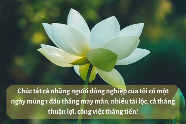 Hình ảnh chúc mùng 1 đầu tháng phát tài phát lộc 