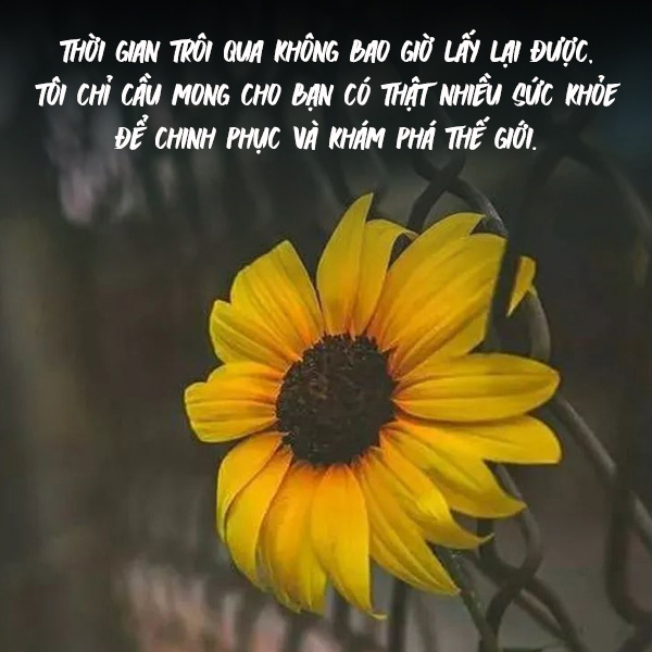 Những lời chúc sức khỏe hay, ý nghĩa