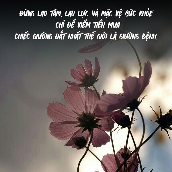 Lời chúc sức khỏe hay và ý nghĩa gửi đến mọi người xung quanh