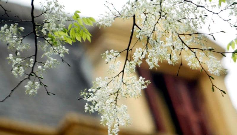 Tại sao lại gọi là rét nàng Bân? Tại sao lại gọi là rét nàng Bân?