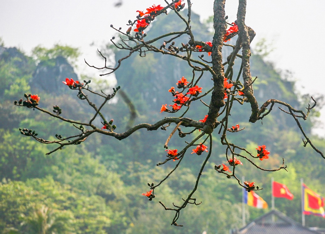 Chùa Thầy Chùa Thầy