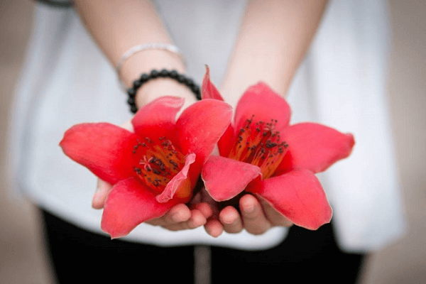 Hoa gạo tháng 3 chở bao thương nhớ