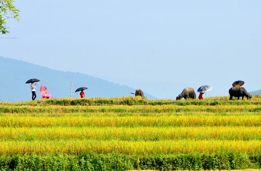 Những câu nói hay về mùa hè Những câu nói hay về mùa hè