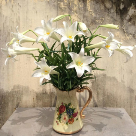 Bình hoa loa kèn đẹp Bình hoa loa kèn đẹp