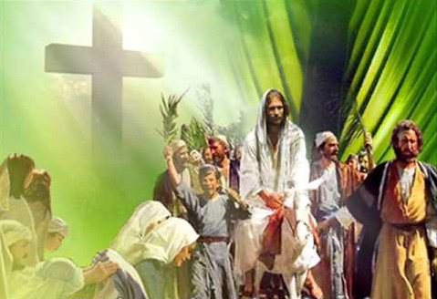 Hình ảnh đẹp về ngày Lễ Lá 7 Hình ảnh đẹp về ngày Lễ Lá 7