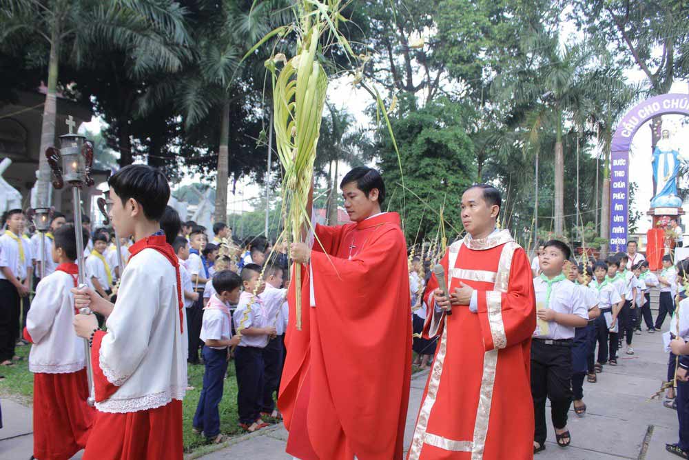 Hình ảnh đẹp về ngày Lễ Lá 3 Hình ảnh đẹp về ngày Lễ Lá 3