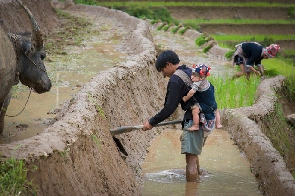 Bài thơ hay về cha Bài thơ hay về cha