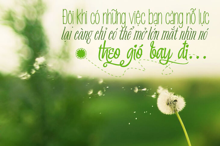 Những câu châm ngôn hay về cuộc sống Những câu châm ngôn hay về cuộc sống