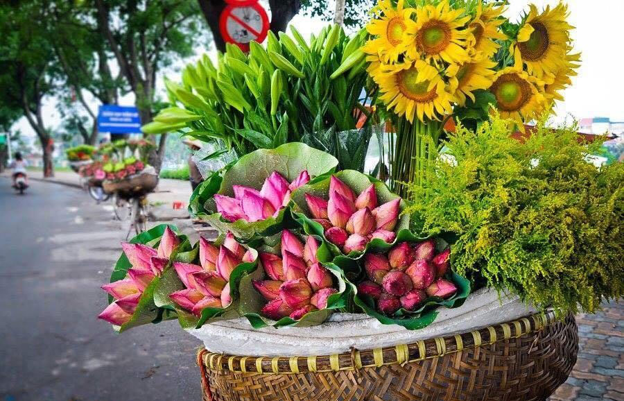 Cách chọn hoa hướng dương