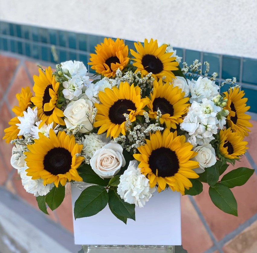 Lẵng hoa hướng dương tặng ngày tốt nghiệp Lẵng hoa hướng dương tặng ngày tốt nghiệp