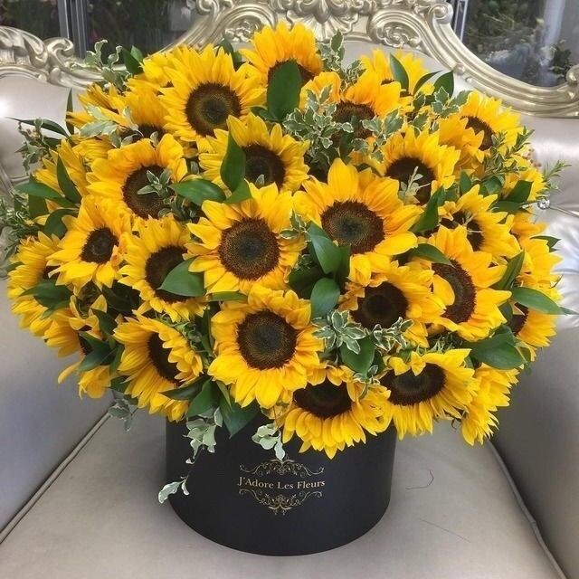Hoa hướng dương sinh nhật Hoa hướng dương sinh nhật