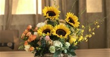 Cách cắm hoa hướng dương đẹp để bàn tươi lâu, nghệ thuật, đơn giản