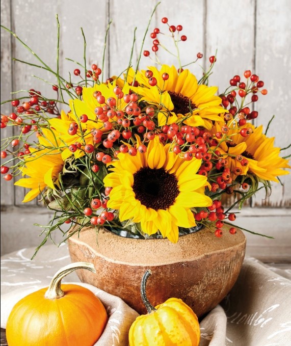 Cách cắm hoa hướng dương nghệ thuật