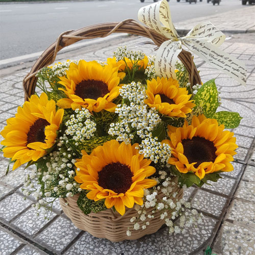 Lẵng hoa hướng dương Lẵng hoa hướng dương