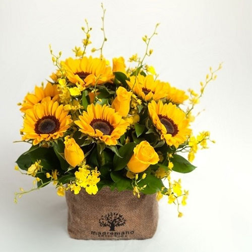 Lẵng hoa hướng dương Lẵng hoa hướng dương