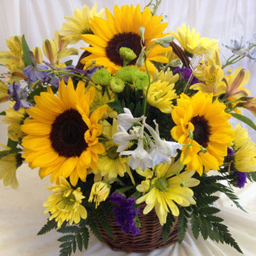 Lẵng hoa hướng dương Lẵng hoa hướng dương