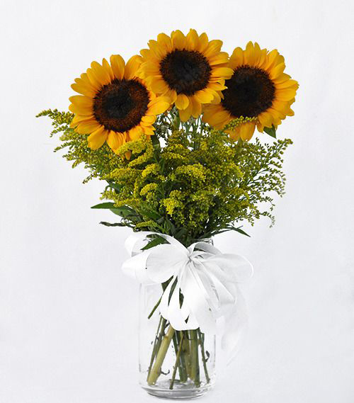 Cắm hoa hướng dương bình cao Cắm hoa hướng dương bình cao