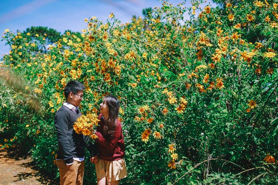 Câu nói hay thả thính về thời tiết Câu nói hay thả thính về thời tiết