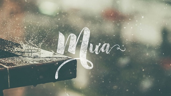 Stt thả thính về thời tiết ngày mưa Stt thả thính về thời tiết ngày mưa