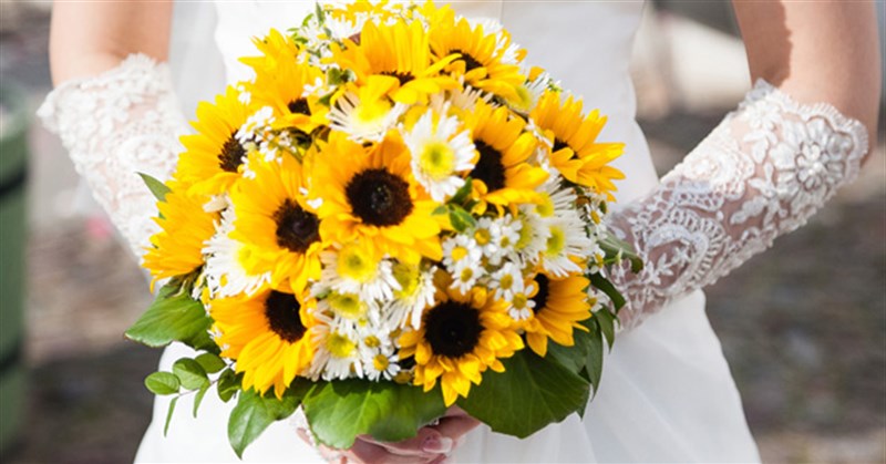 Ý nghĩa hoa cưới hướng dương là gì? Cách bó hoa cầm tay cô dâu hướng dương đẹp, đơn giản