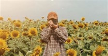 Hoa hướng dương nở vào mùa nào? Cách tạo dáng, chụp ảnh với hoa hướng dương đẹp