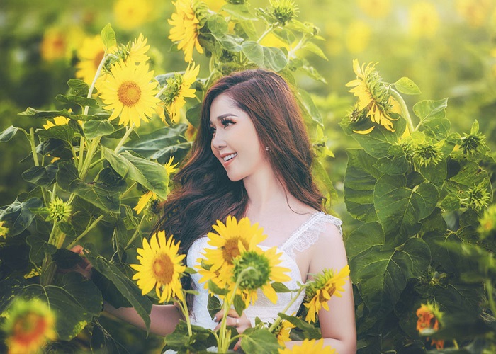 Tạo dáng chụp hoa hướng dương Tạo dáng chụp hoa hướng dương