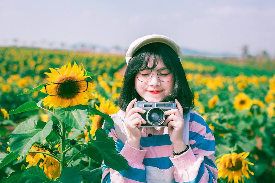 Chụp ảnh với hoa hướng dương Chụp ảnh với hoa hướng dương