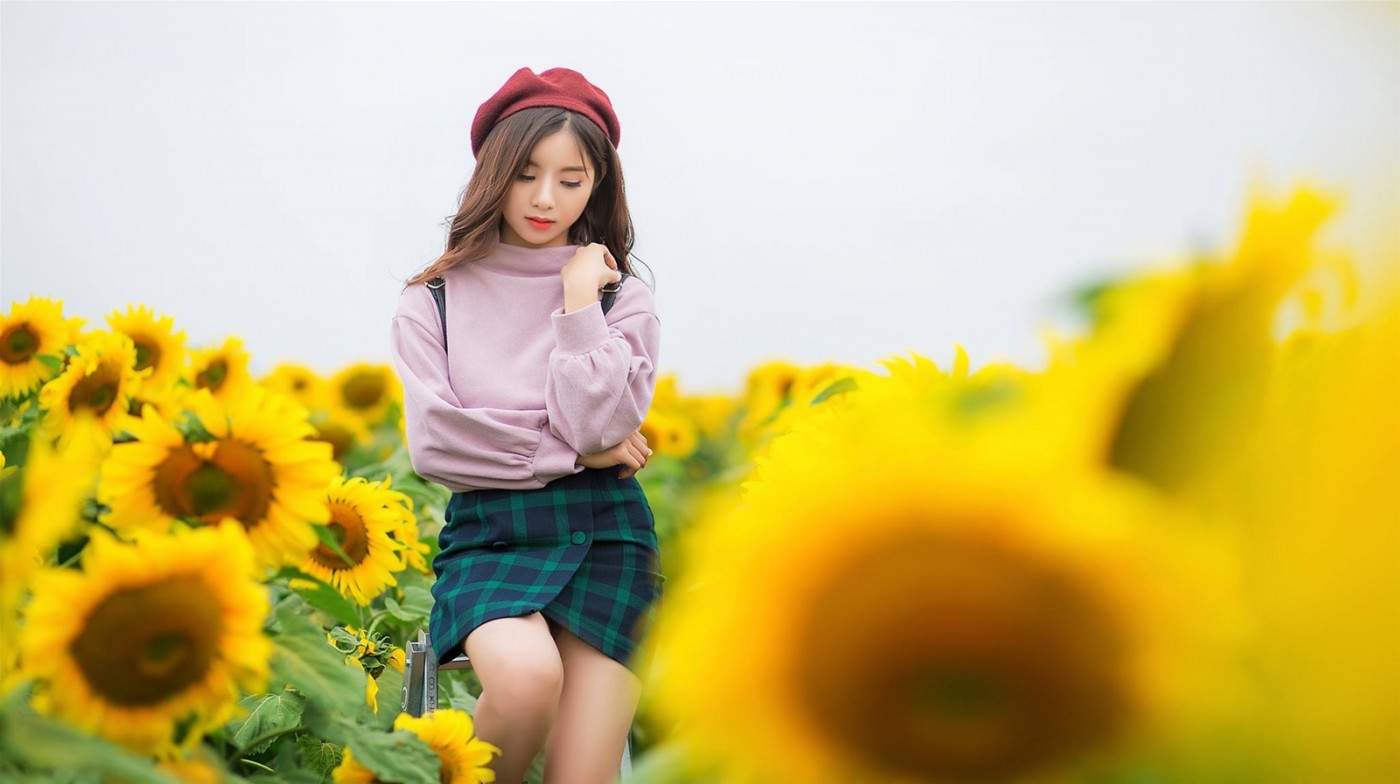 Chụp ảnh hoa hướng dương Chụp ảnh hoa hướng dương