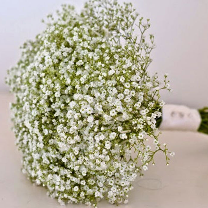 Cách bó hoa baby làm hoa chụp kỷ yếu Cách bó hoa baby làm hoa chụp kỷ yếu