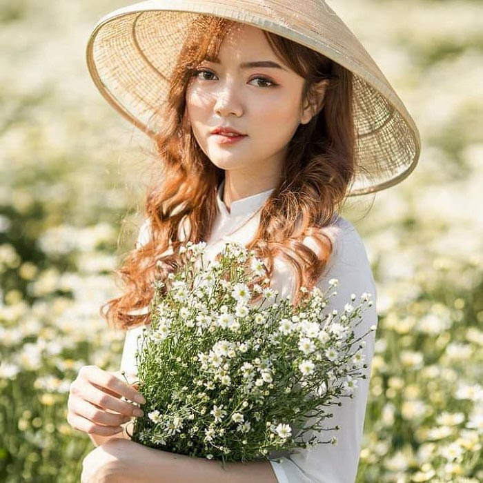 Hoa chụp kỷ yếu - Hoa cúc họa mi Hoa chụp kỷ yếu - Hoa cúc họa mi