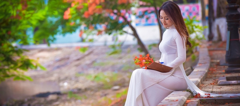 Ý nghĩ của hoa phượng