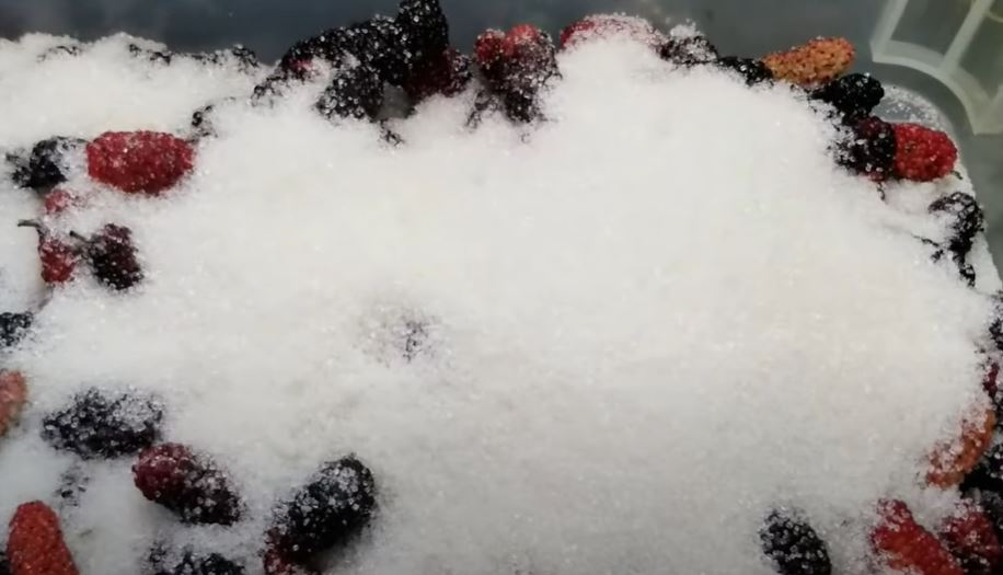 Cách làm siro dâu tằm ngâm đường