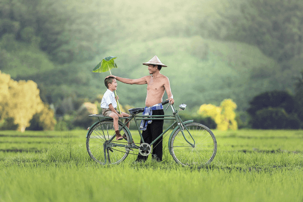 Ảnh Ngày của Bố Ảnh Ngày của Bố