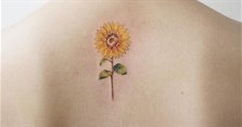 Hình xăm hoa hướng dương có ý nghĩa gì? Mẫu hình xăm hoa hướng dương mini nhỏ đẹp nhất