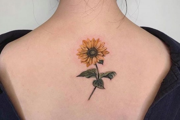 Hình xăm hoa hướng dương có ý nghĩa gì?
