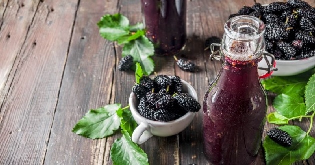 Cách làm nước dâu tằm Cách làm nước dâu tằm