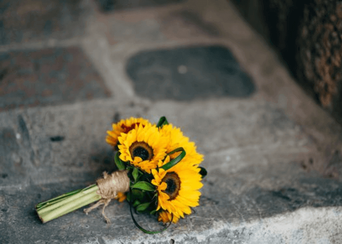 Hình ảnh bó hoa hướng dương