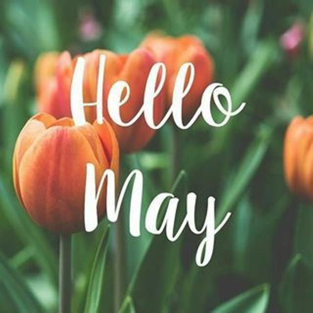 Xin chào tháng 5 đẹp nhất