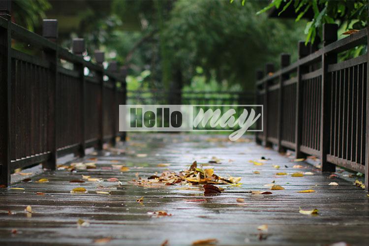 Những câu nói hay về tháng 5