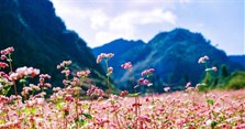 Dự báo thời tiết, nhiệt độ Hà Giang hôm nay, ngày mai, 3 ngày tới theo giờ