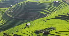 Dự báo thời tiết, nhiệt độ Yên Bái hôm nay, ngày mai, 3 ngày tới theo giờ