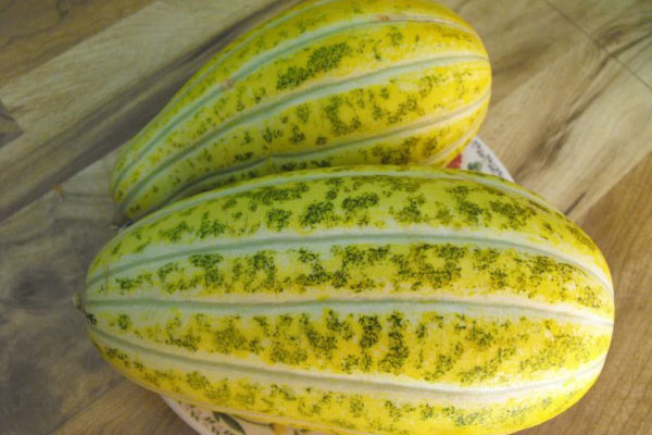 Cách chọn dưa gang ngon để làm sinh tố Cách chọn dưa gang ngon để làm sinh tố