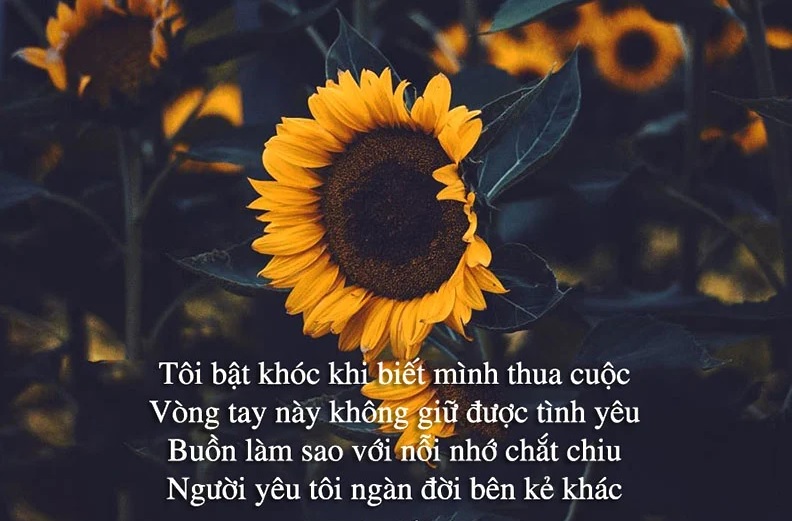 Thơ tình buồn Thơ tình buồn