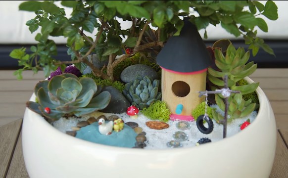 Tiểu cảnh sen đá đơn giản Tiểu cảnh sen đá đơn giản