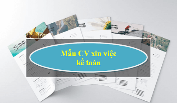 Mẫu CV xin việc kế toán nên ngắn gọn, súc tích như tính chất các tài liệu trong nghề