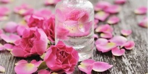 Cách sử dụng nước hoa hồng đúng cách và hiệu quả nhất