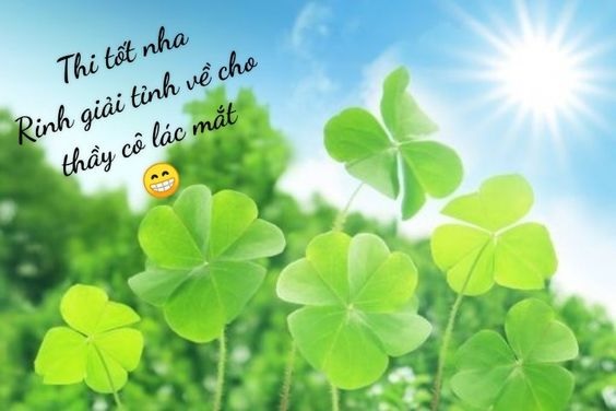 Lời chúc người yêu thi tốt