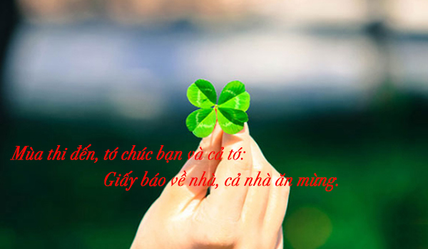 Tổng hợp những lời chúc thi tốt độc đáo cho các sĩ tử